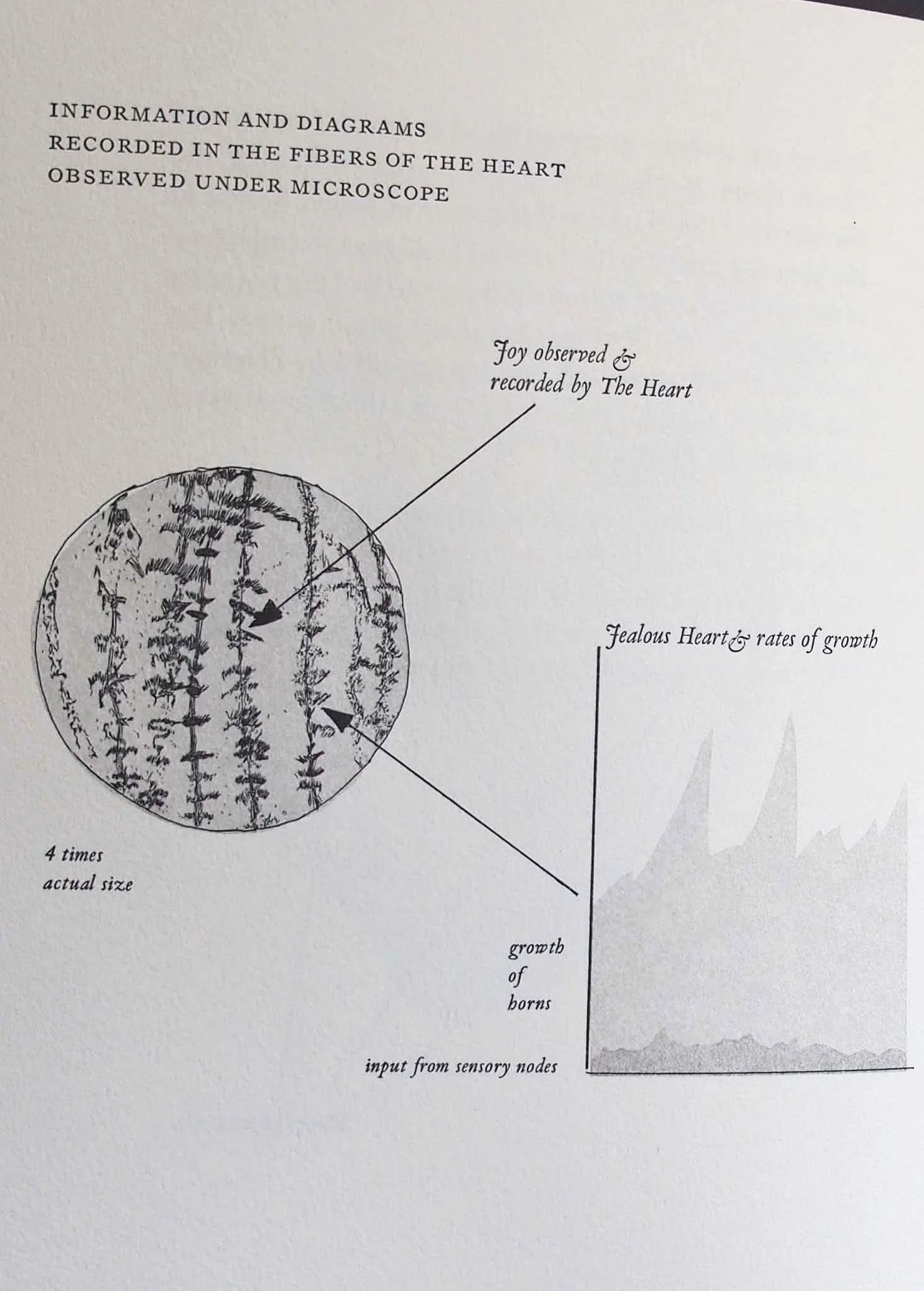 diagramscrop.jpg