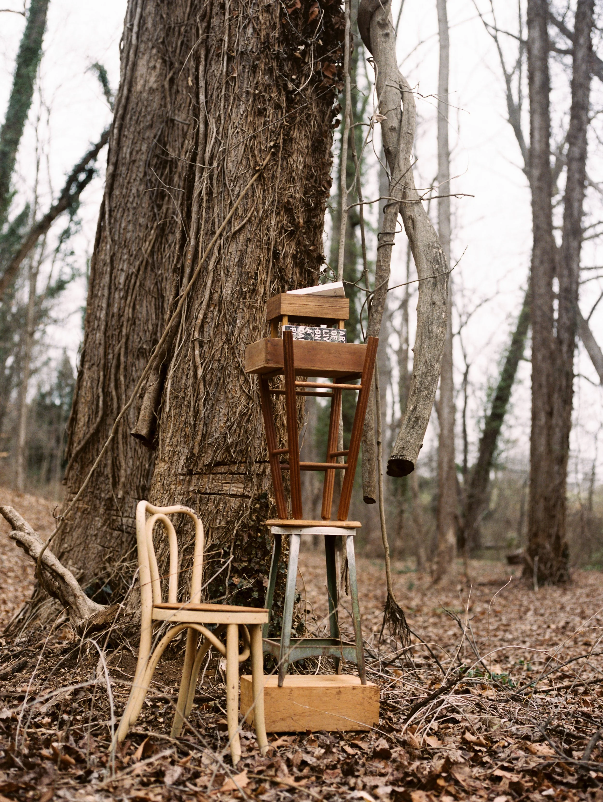 winter-readingrooms-2.jpg