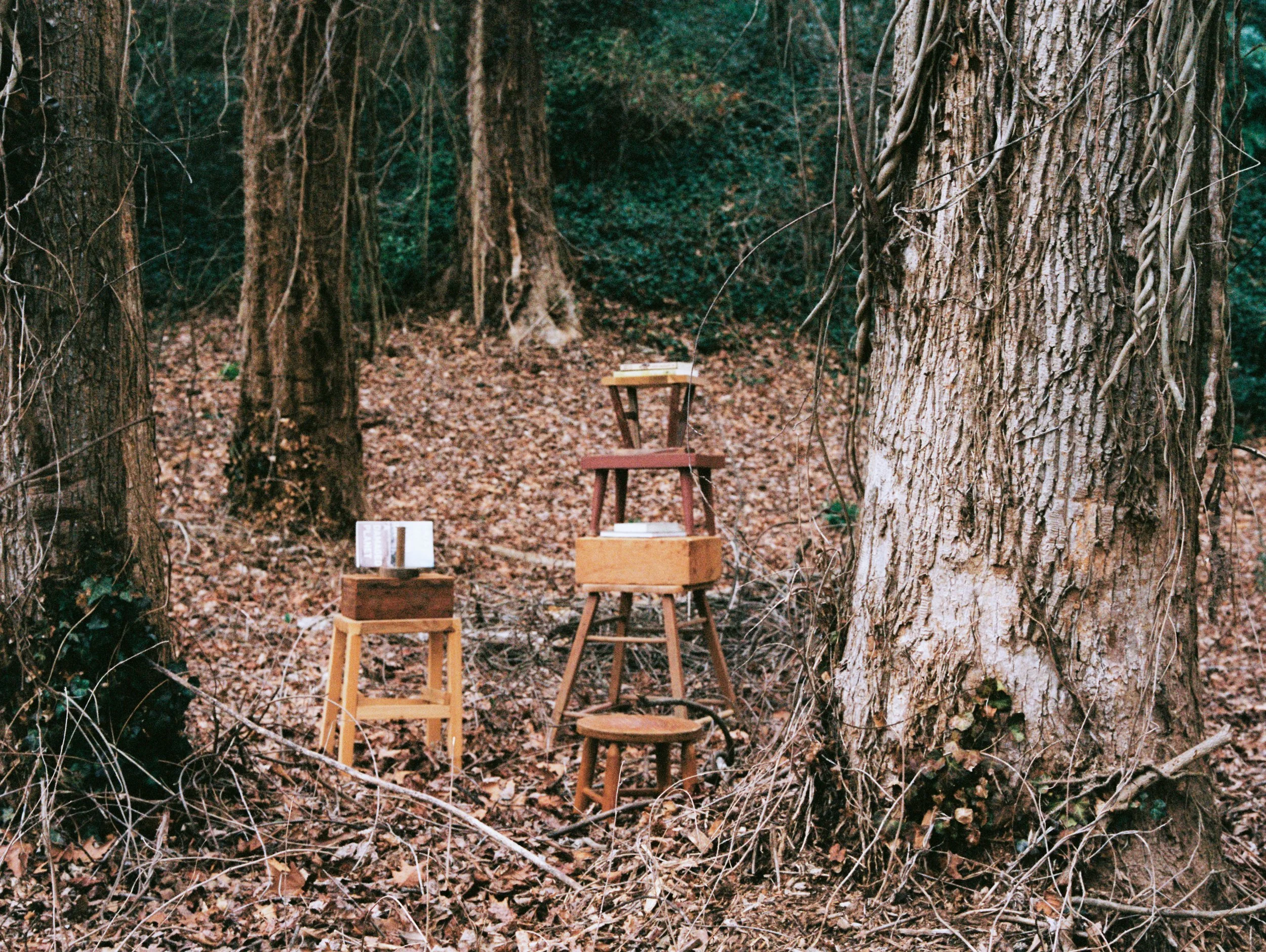 winter-readingrooms-3.jpg