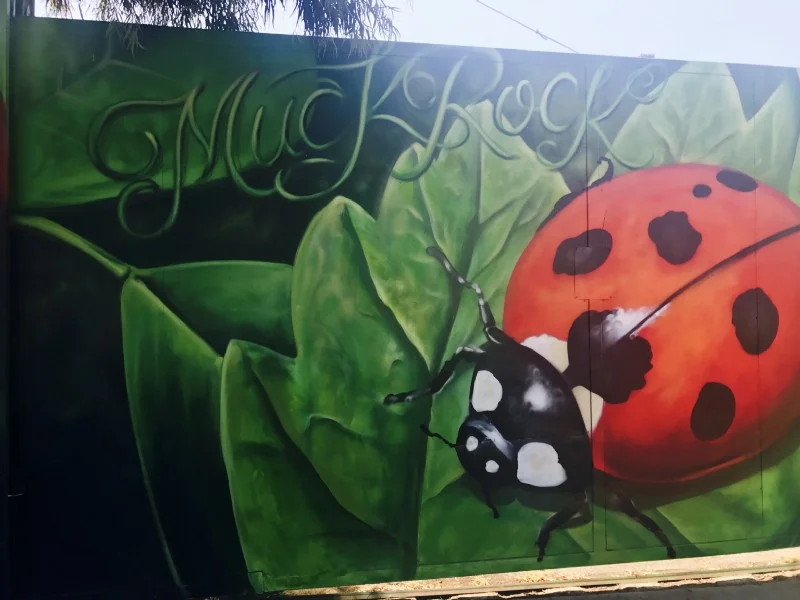 A ladybug lands and magic happens. With much credit and love the beautiful Venice Beach muralist — Jules Muck