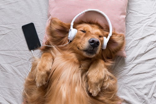 listen.