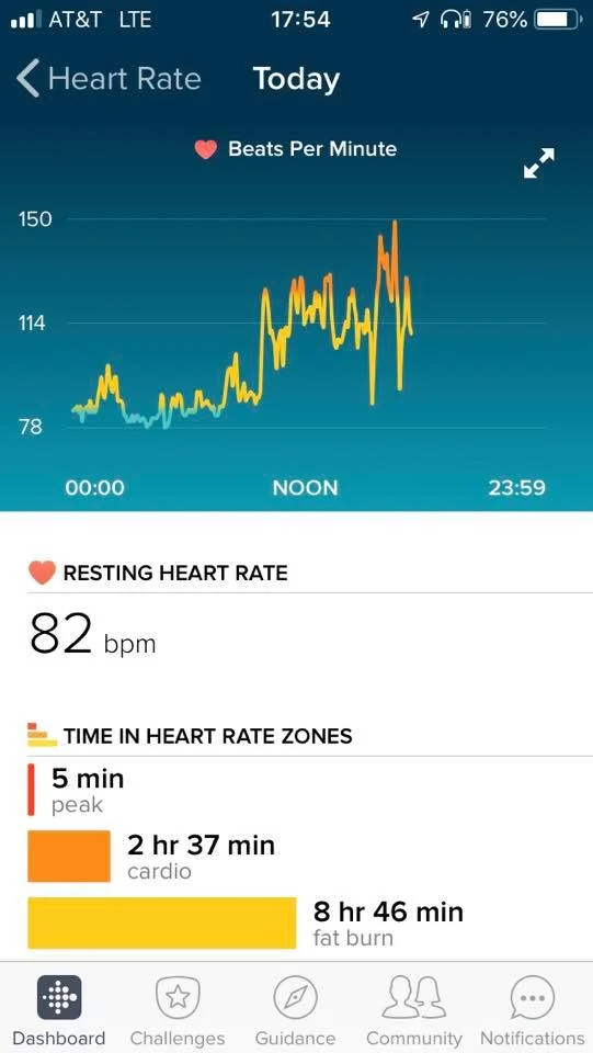 FitBitNYC.jpg