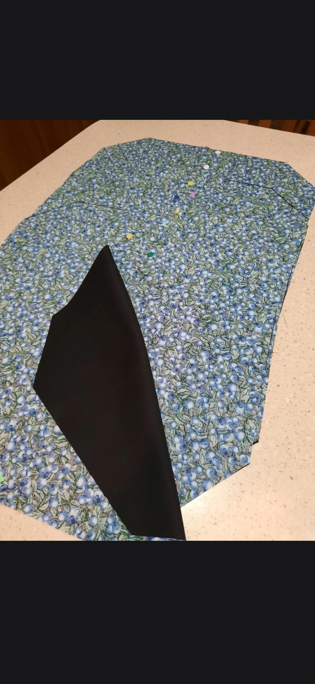 1000011570.jpg