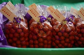 Pumpkin Pie Gourmet Malt Balls