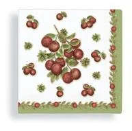 cranberry cocktail napkins cape shore.jpg