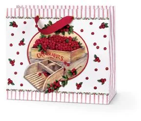 Cranberry Notes