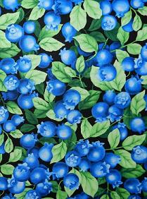 Wow Blueberry fabric...