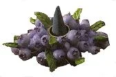 Blueberry resin Incense Holder...