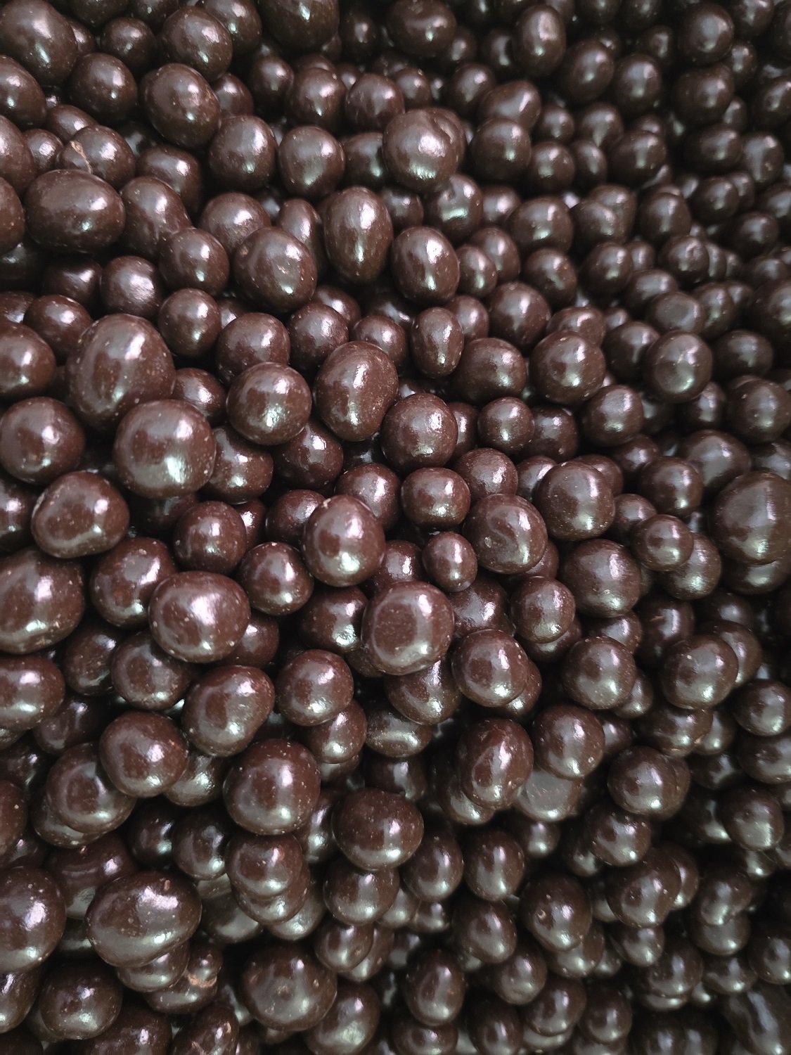 dark chocolate covered blueberries Maine.jpeg