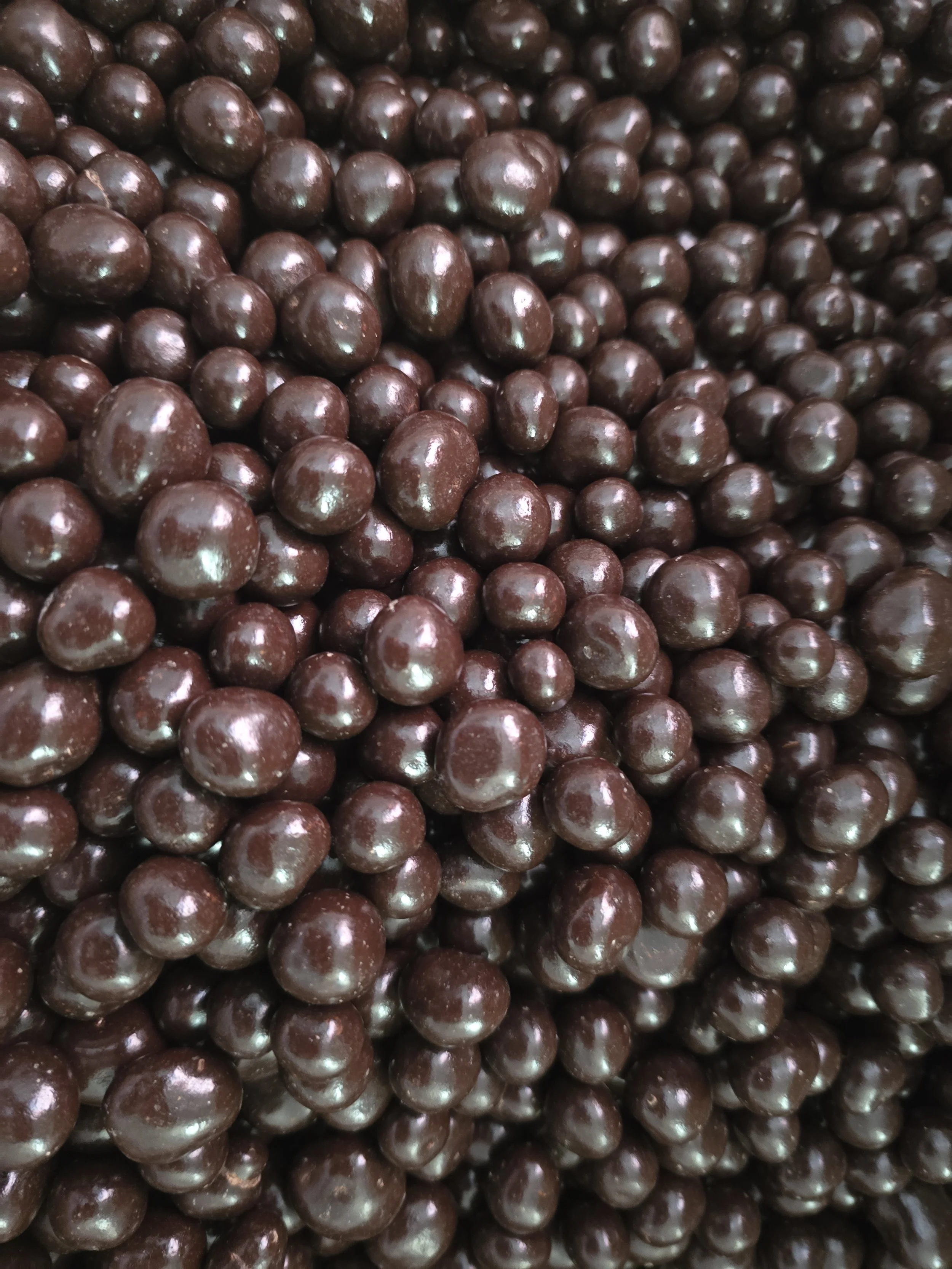 dark chocolate covered blueberries Maine.jpeg