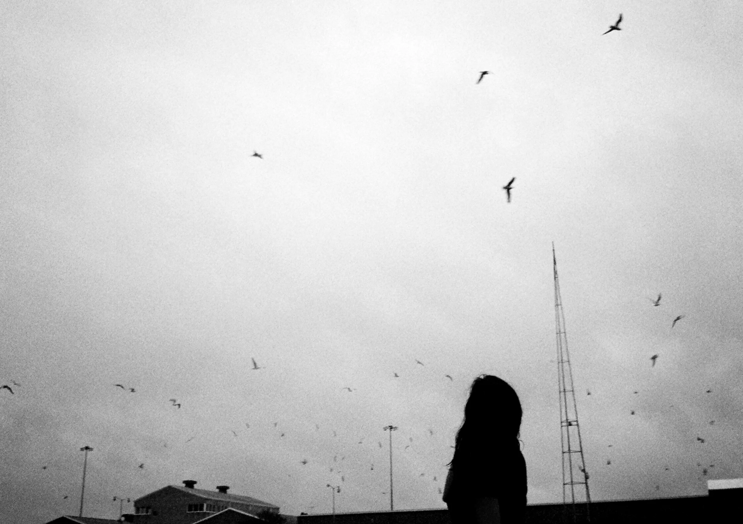09430048-bw.jpg