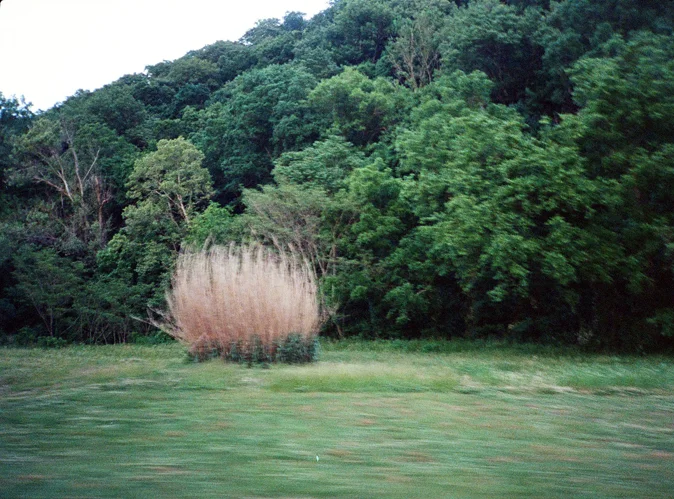 05170035b.jpg