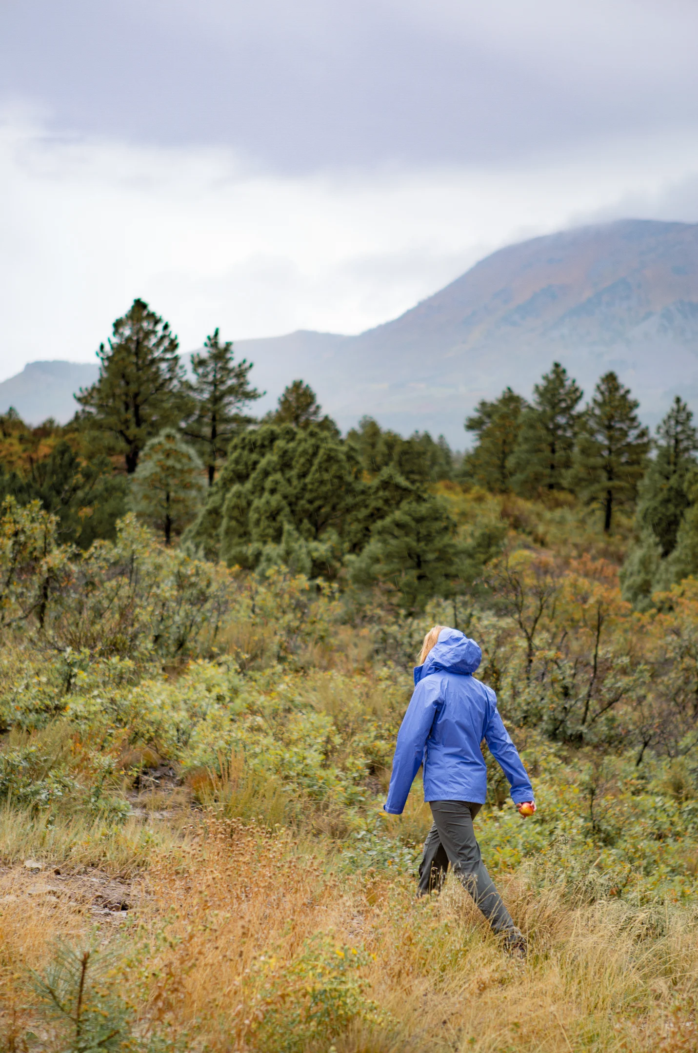 outdoors (38 of 53)-2.jpg