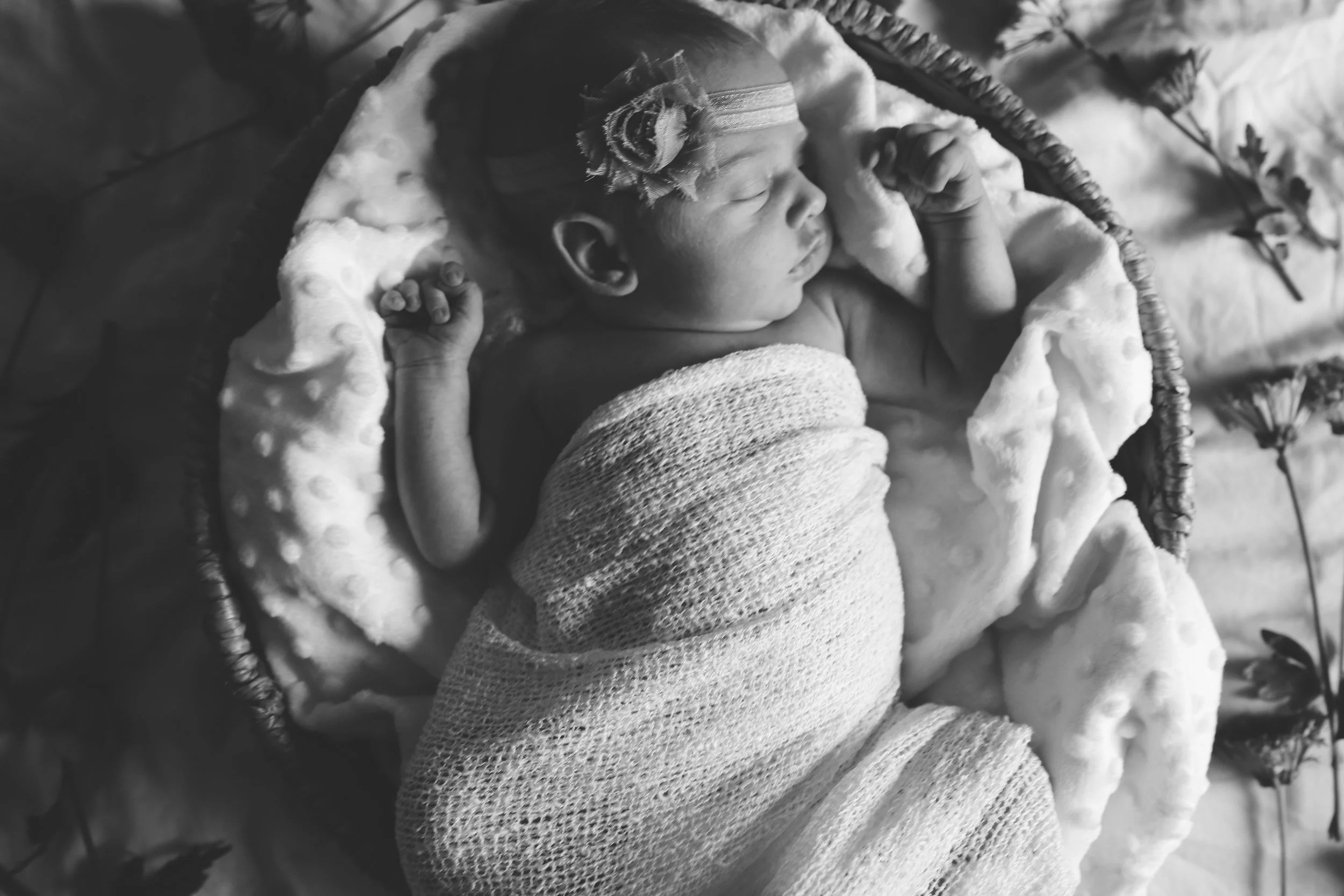 BabyRuth'16-24.jpg