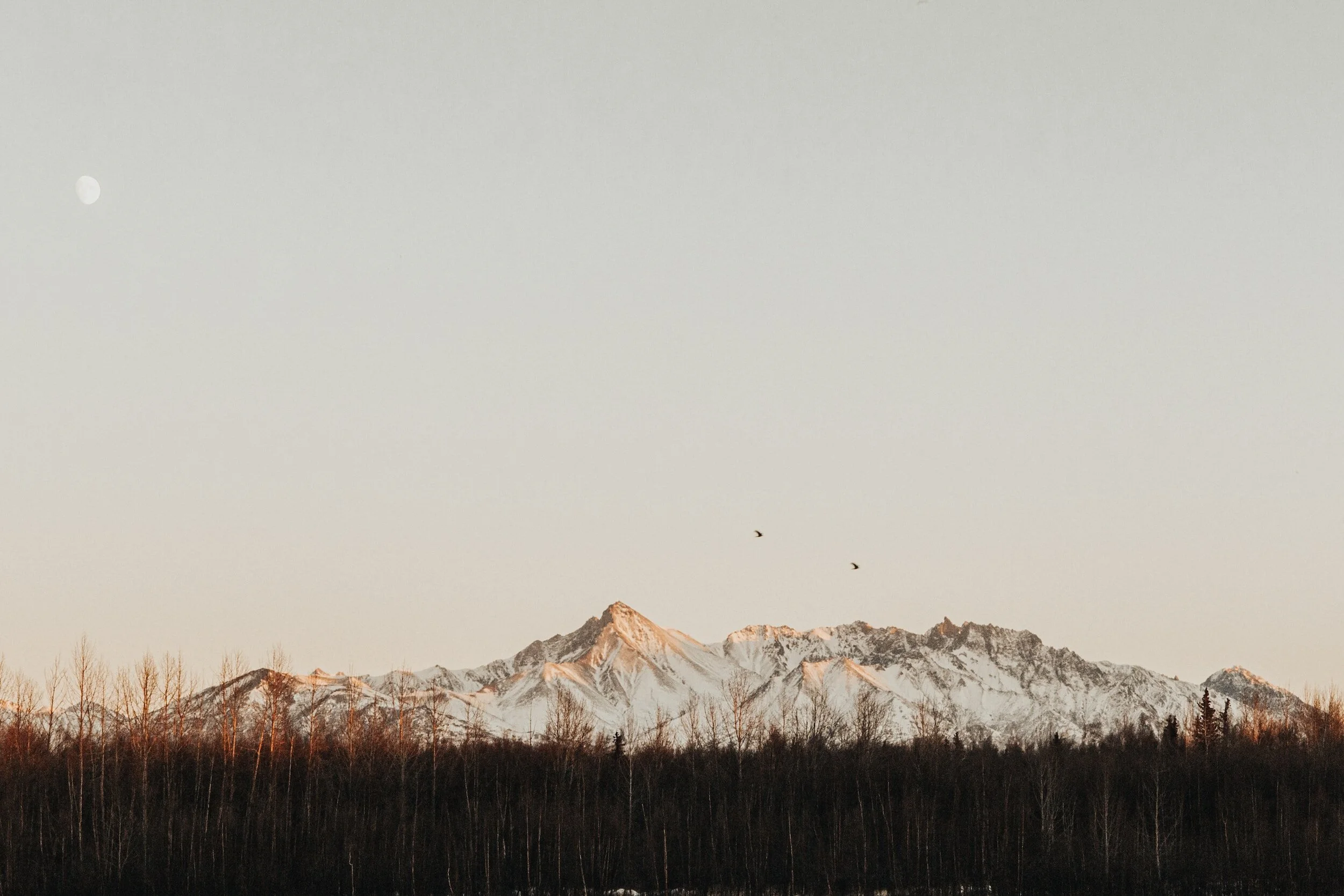 Moving from content to process in meditation and in life