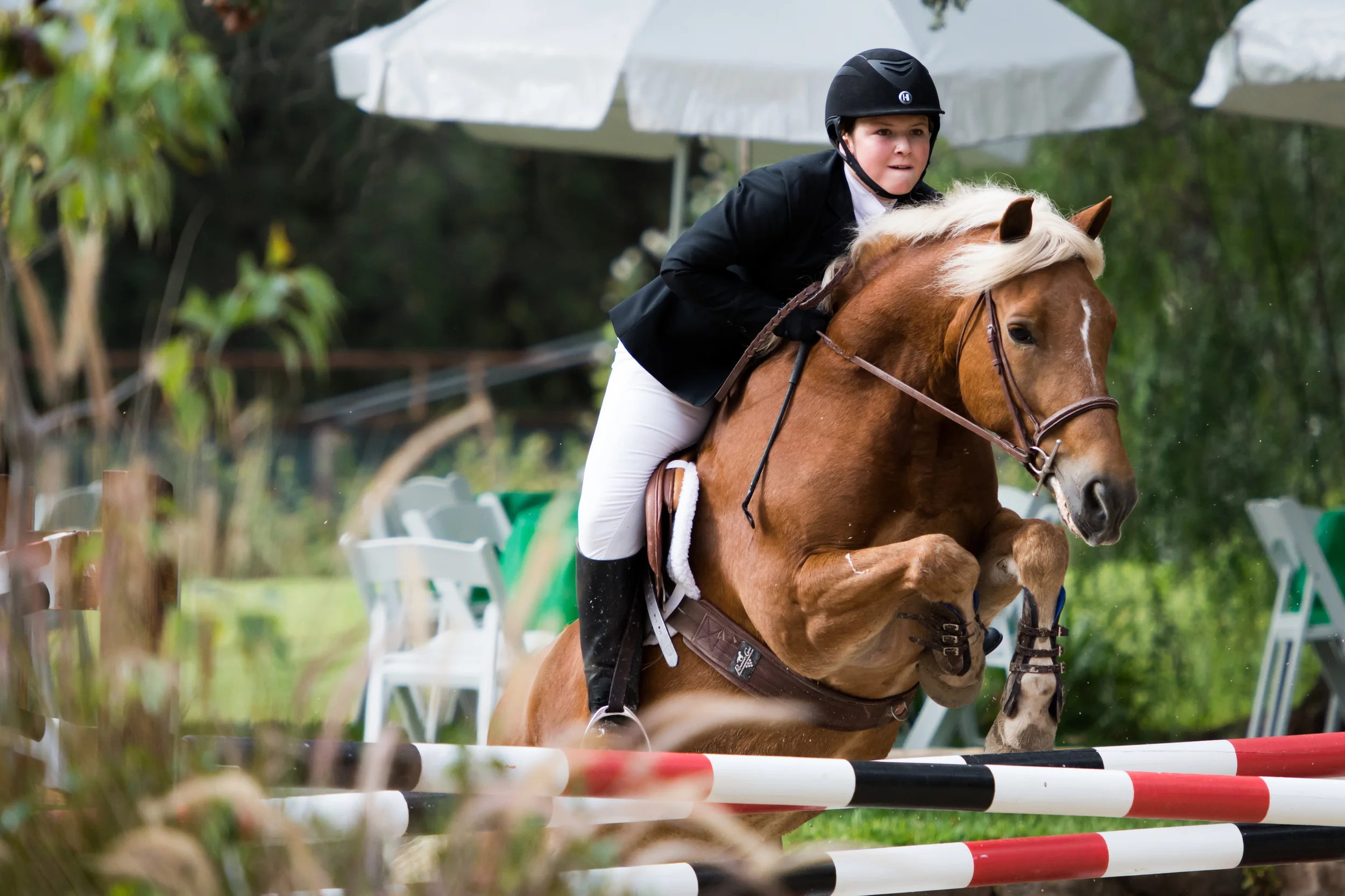 DSC_3318Feather I.jpg