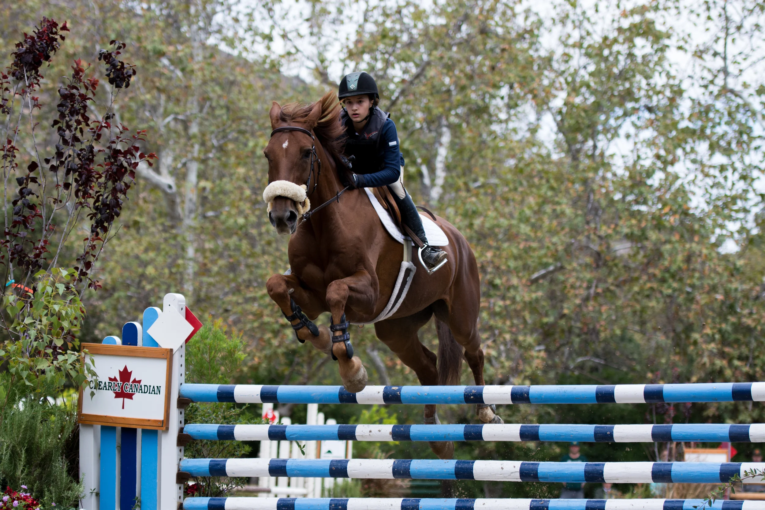 DSC_3698Feather I.jpg