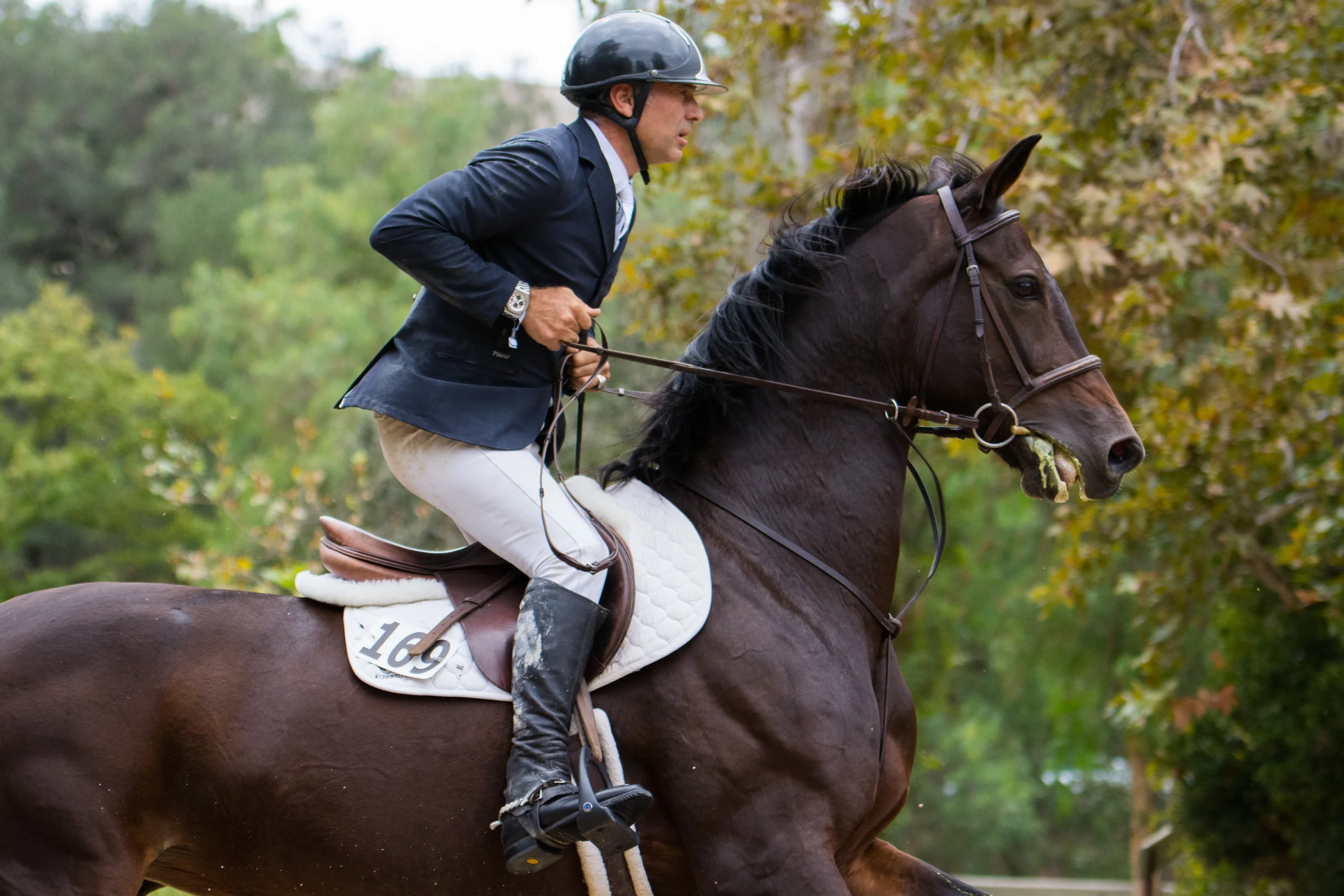 DSC_3985Feather I.jpg
