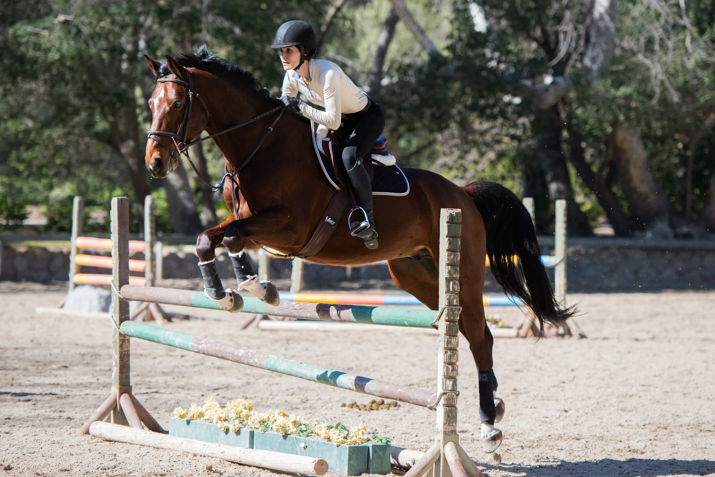 DSC_5374Feather I.jpg