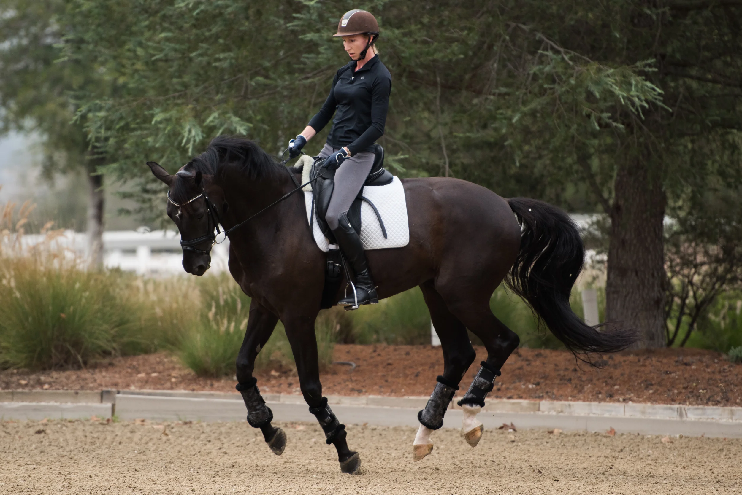 DSC_2445Feather I.jpg
