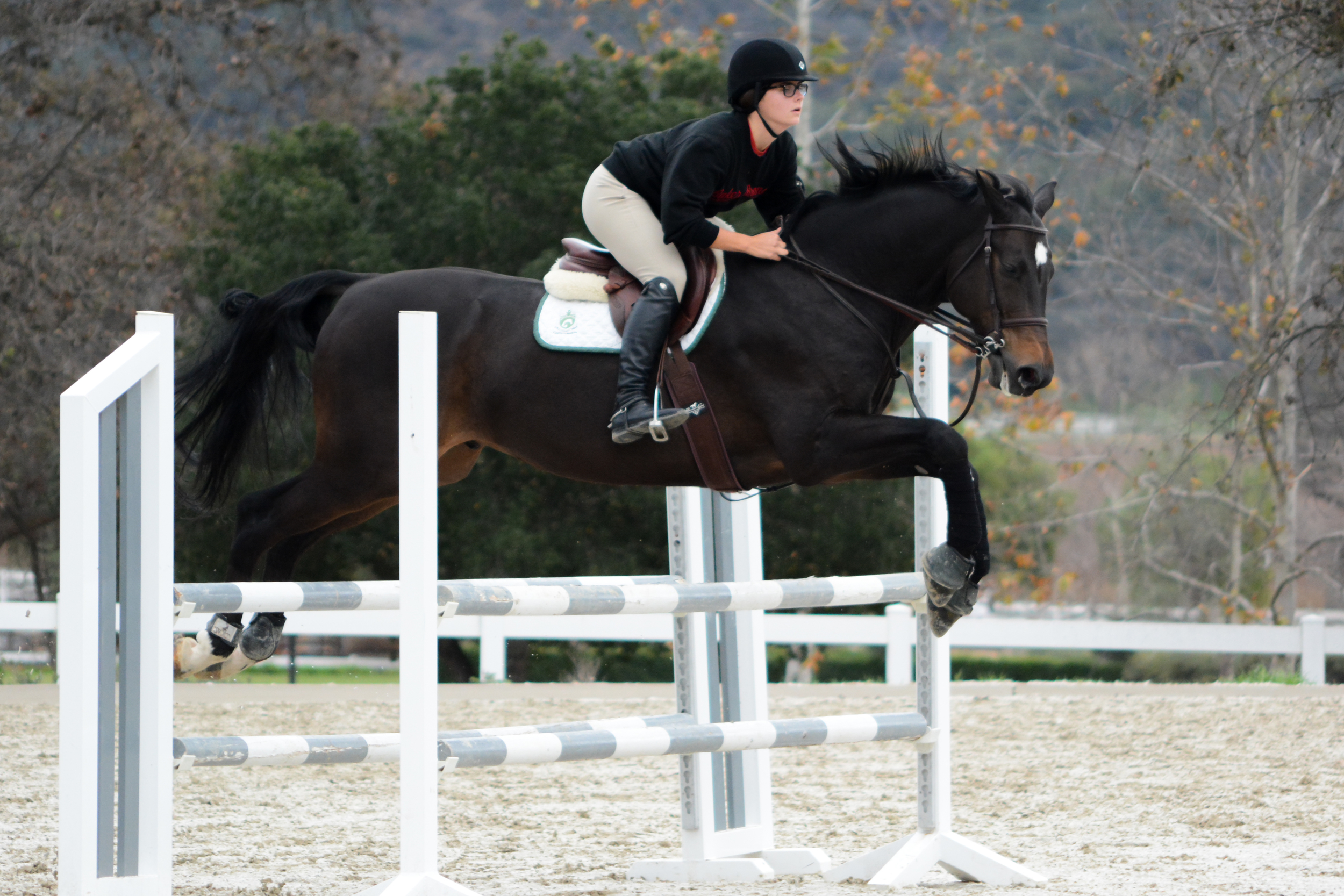 DSC_8024Feather I.jpg