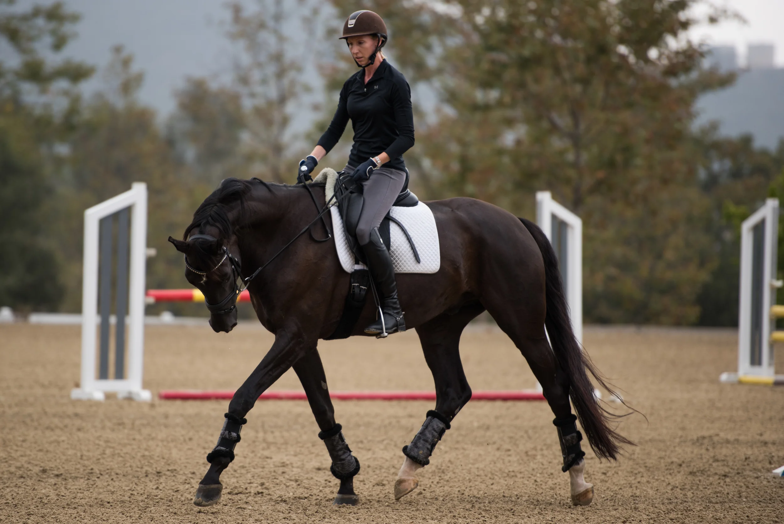 DSC_2607Feather I.jpg