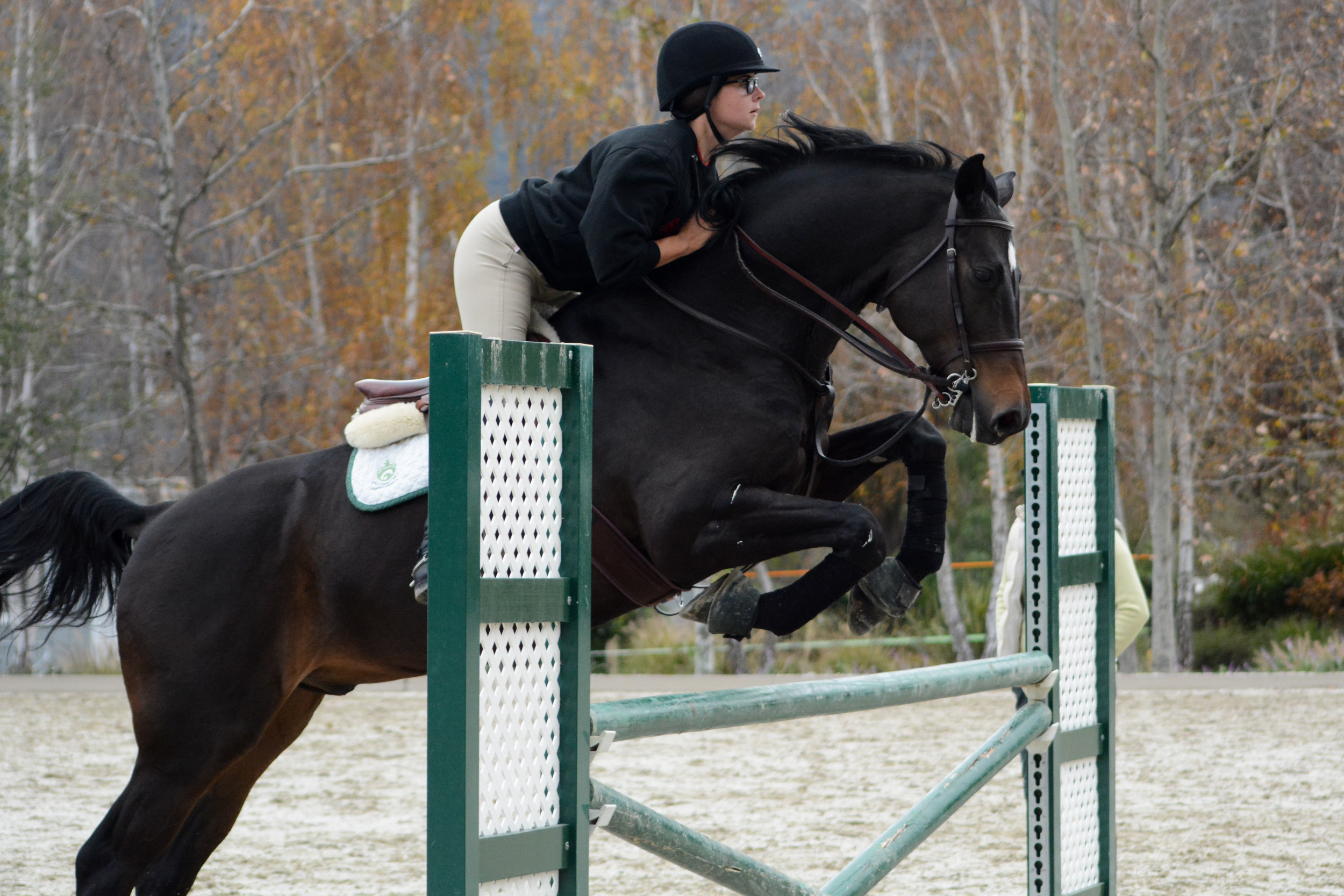 DSC_8027Feather I.jpg