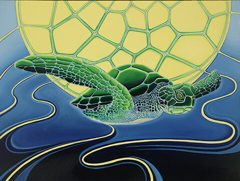 honuturtle1.jpg