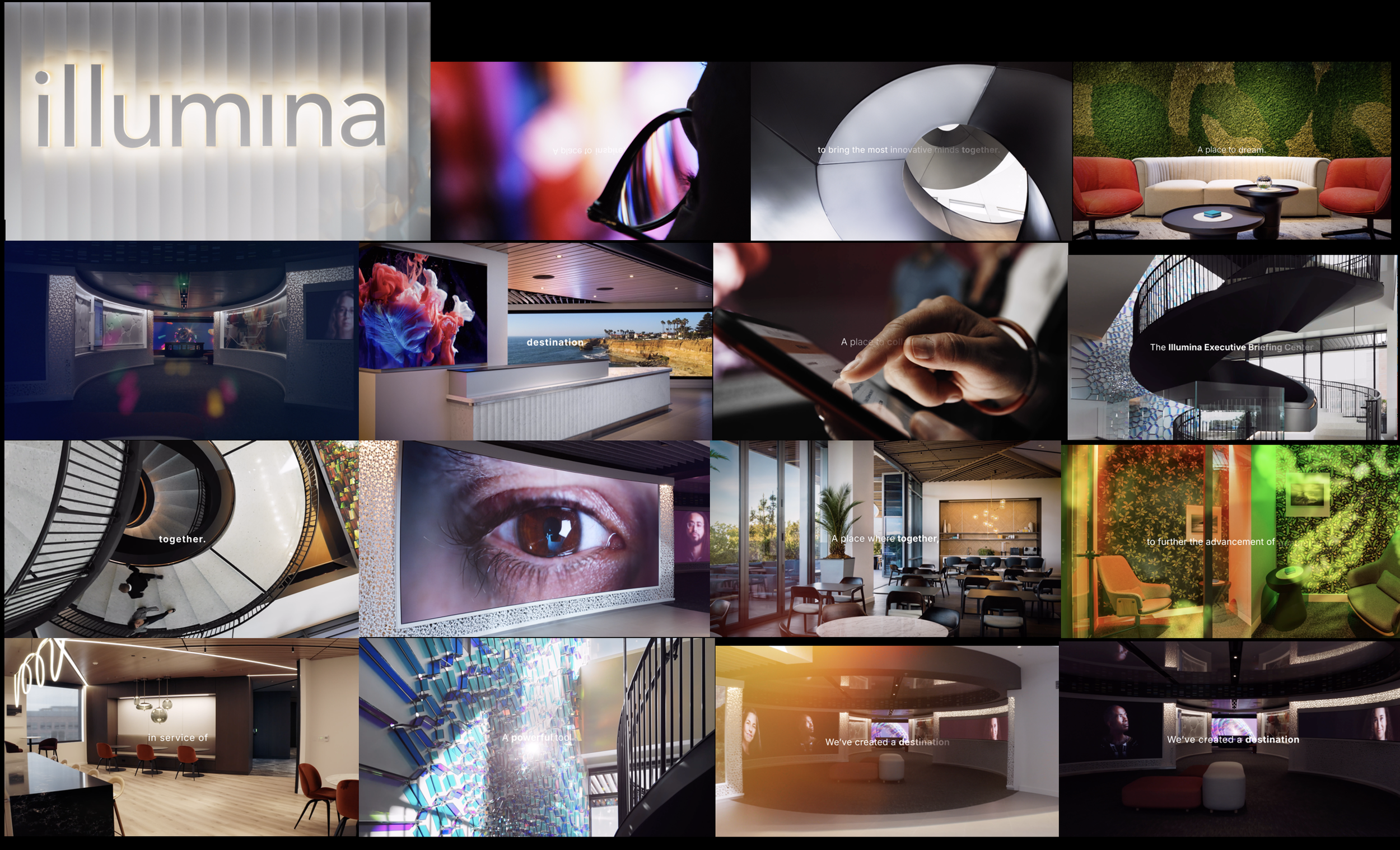 ILLUMINA collage.png