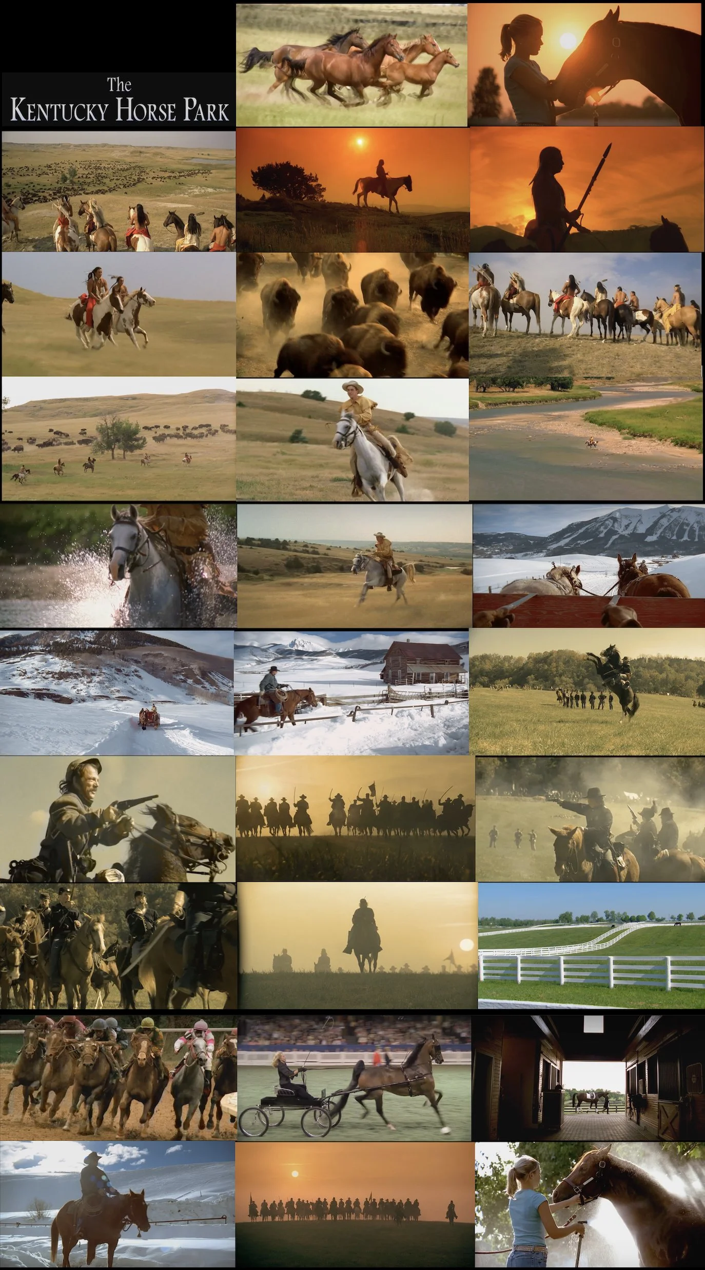 frame grabs from THE KENTUCKY HORSE PARK movie that I shot
