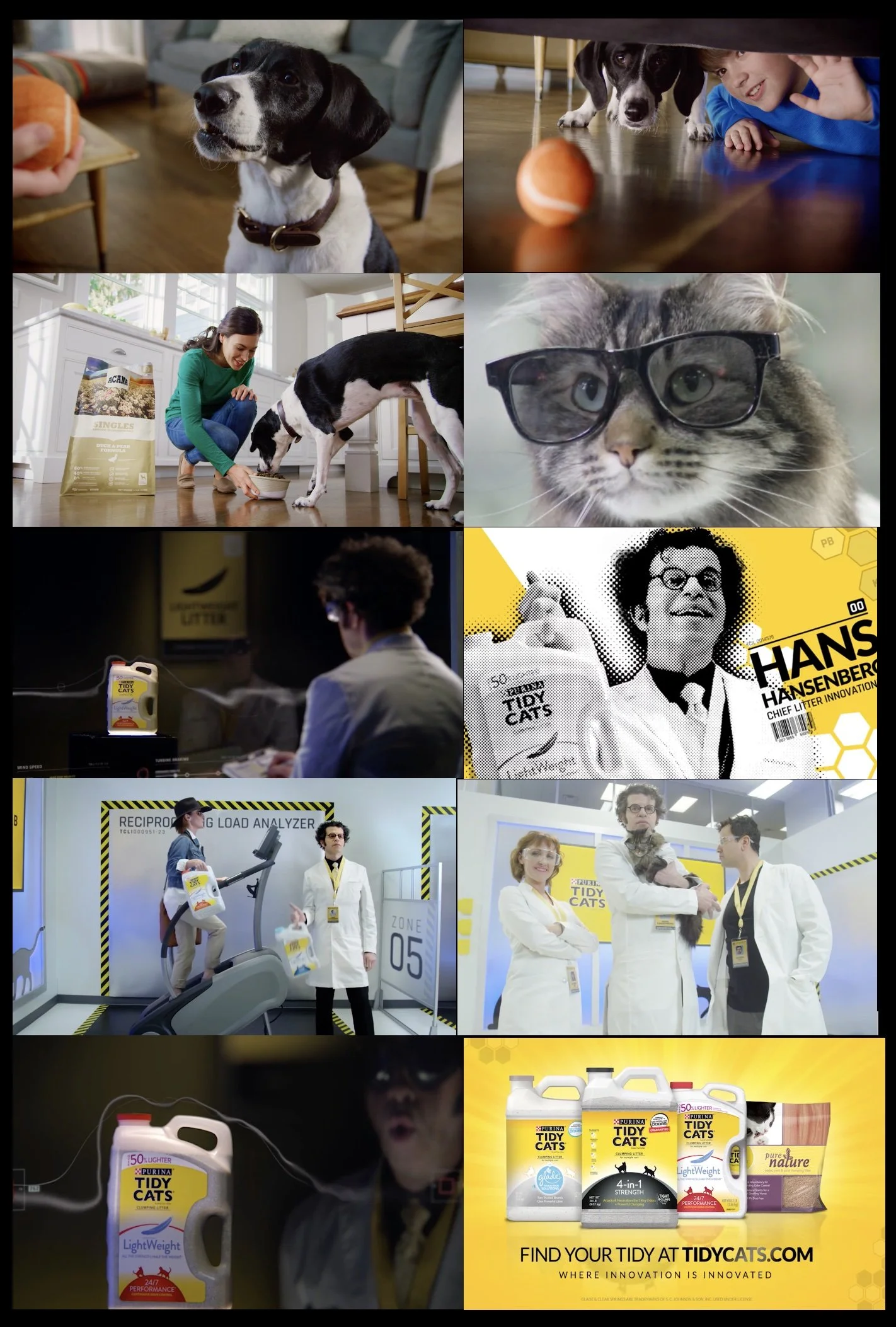 Tidy Cates:Acana JPEG collage.jpg