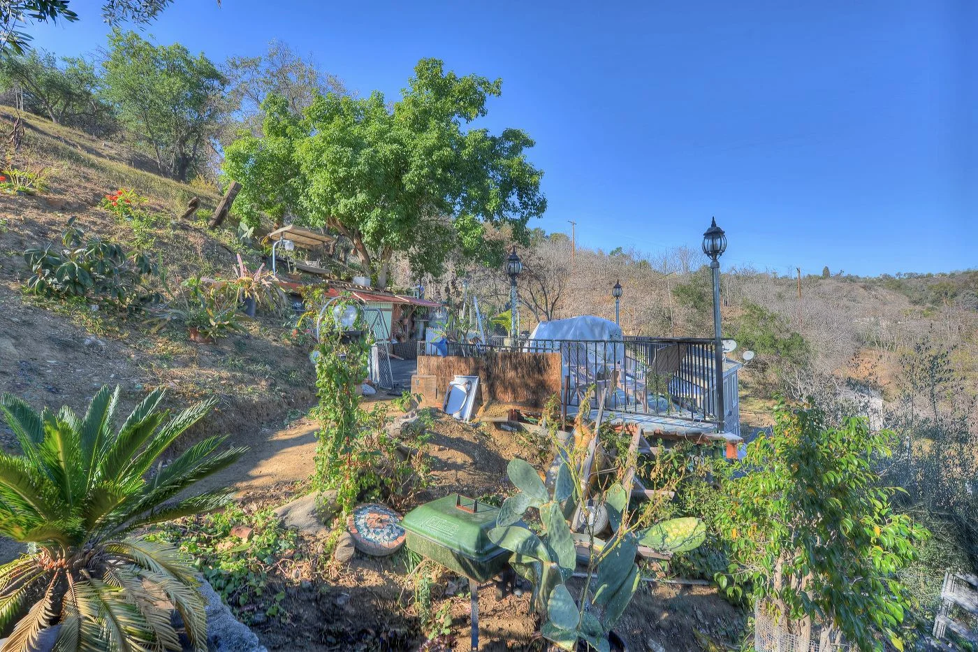 315457_amador_154_r.jpg