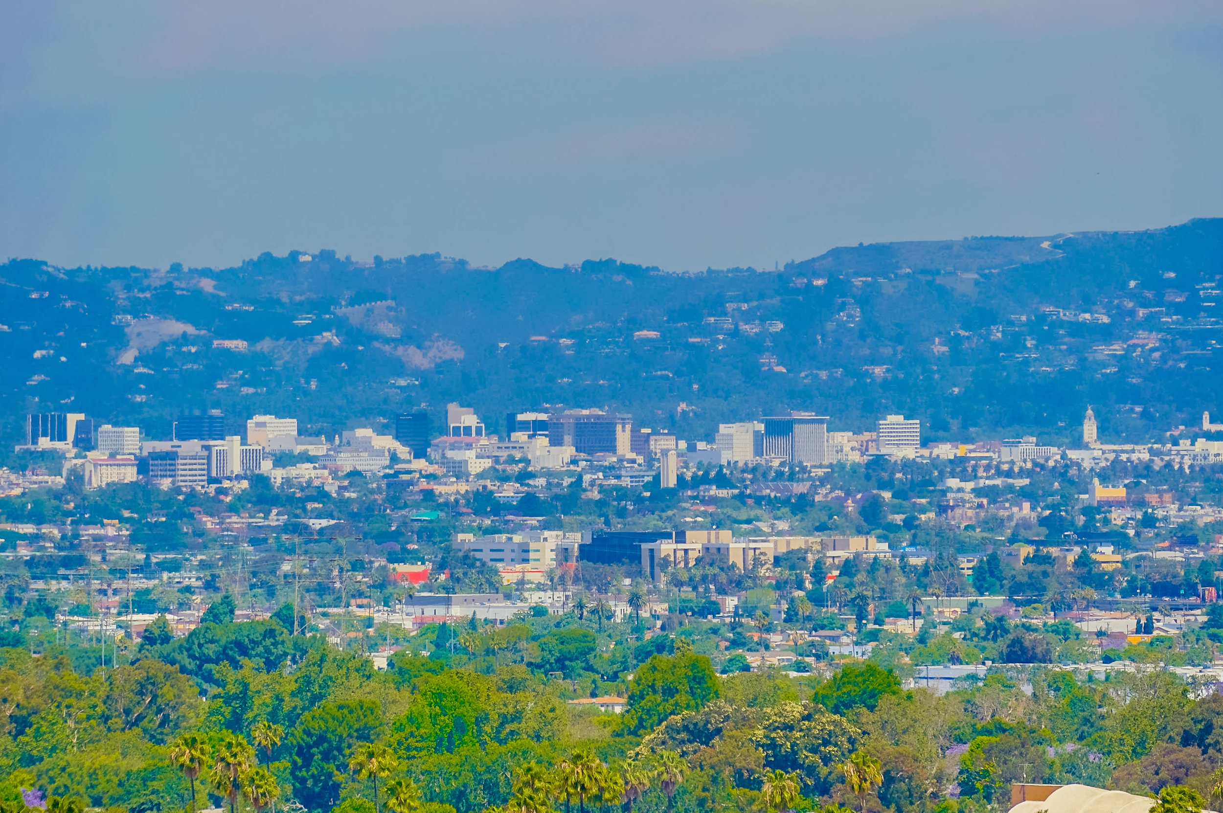 4256-don-arellanes-dr-052.jpg