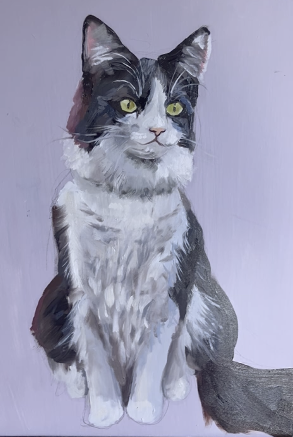Cat Portrait.png