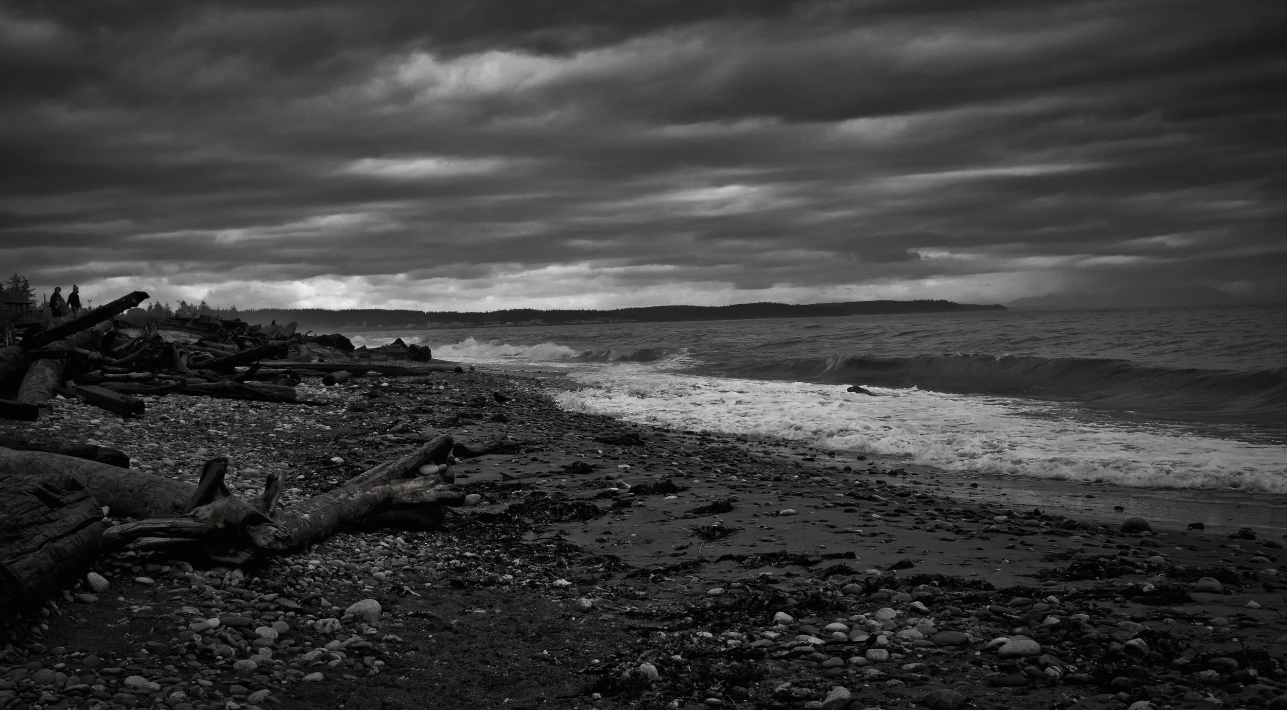 DSC_0016 copy.jpg