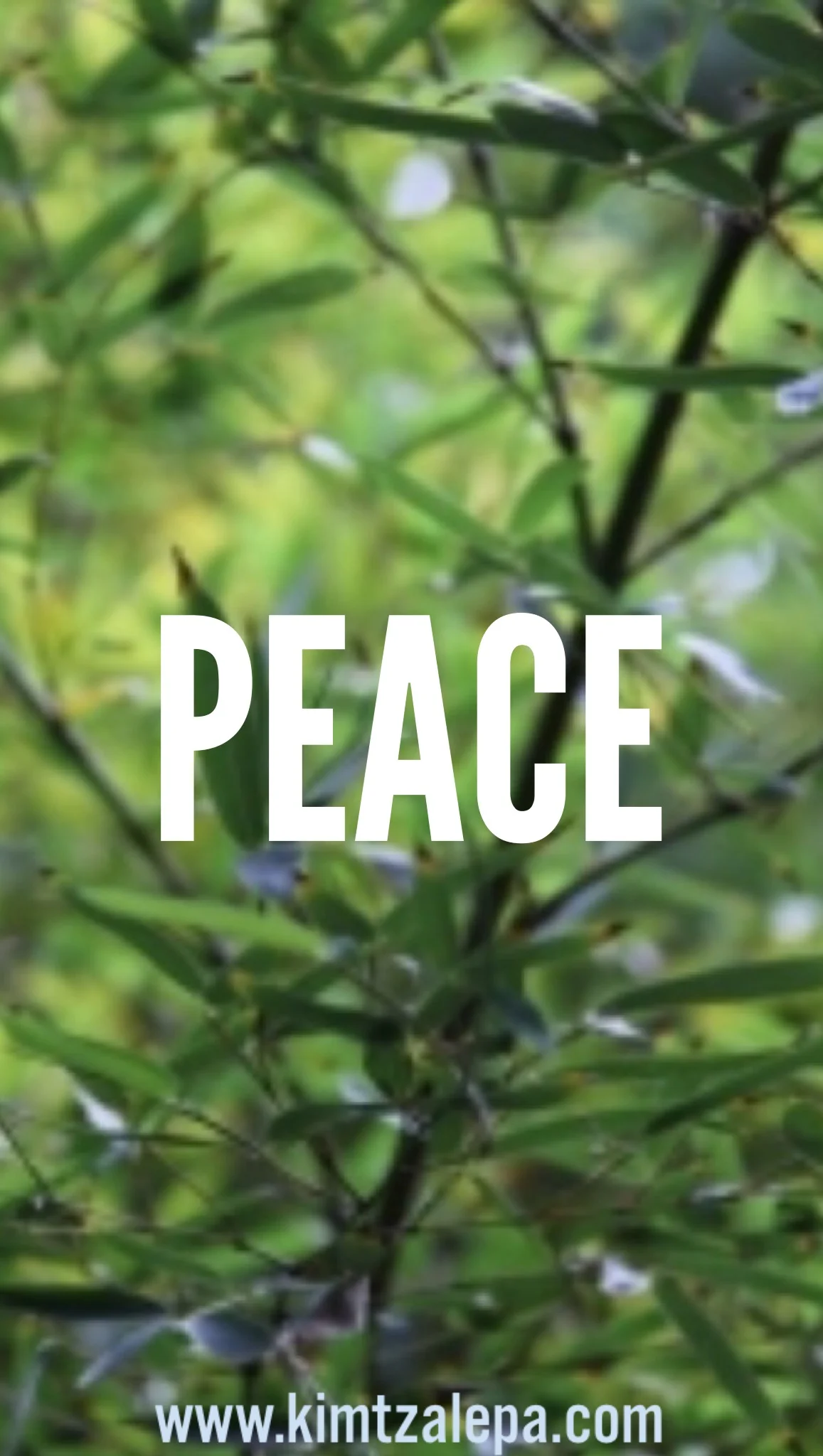 PEACE