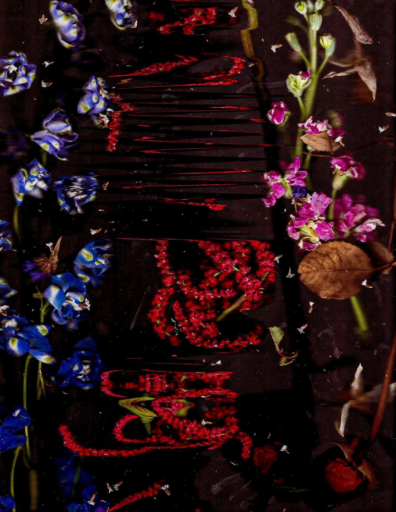 Flower+wibble+%234.jpg