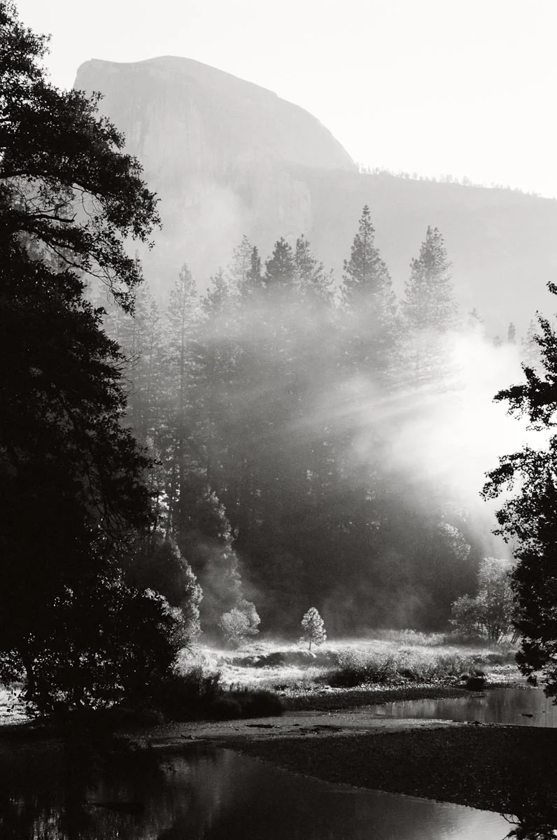 A black and white photo of a lake with tall trees at the edges. In the middle distance is a single tree illuminated by morning light shining through fog. There are tall trees and Half Dome in the distance.  
