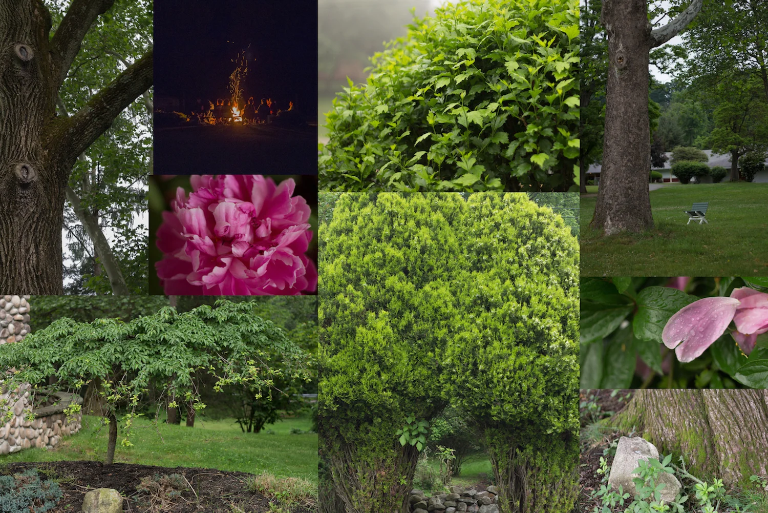 firecollage small.jpg