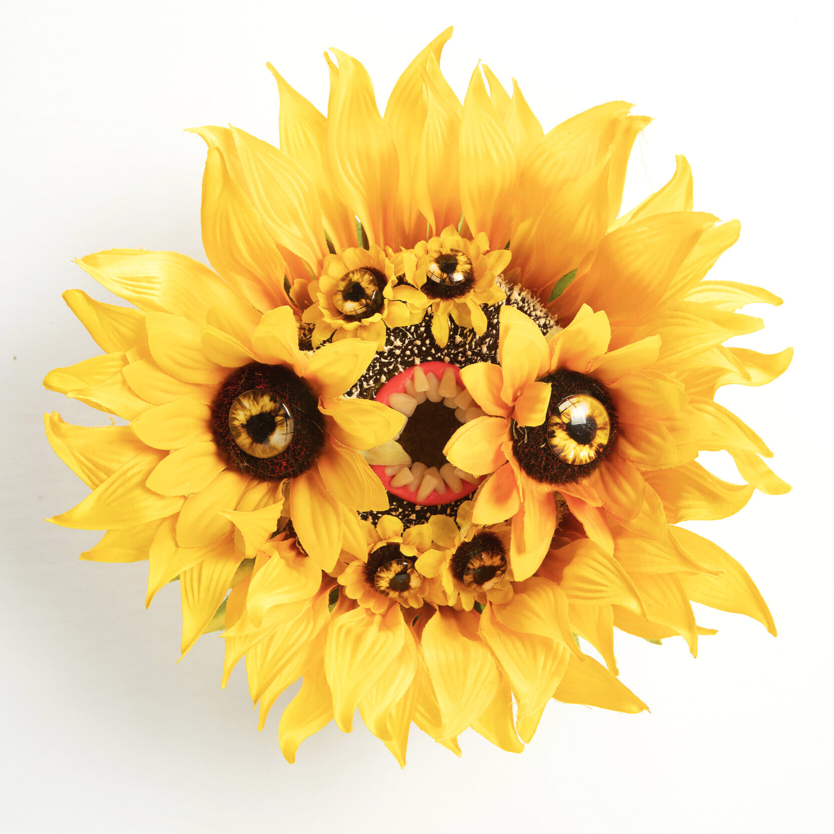 Mutated Sunflower V2