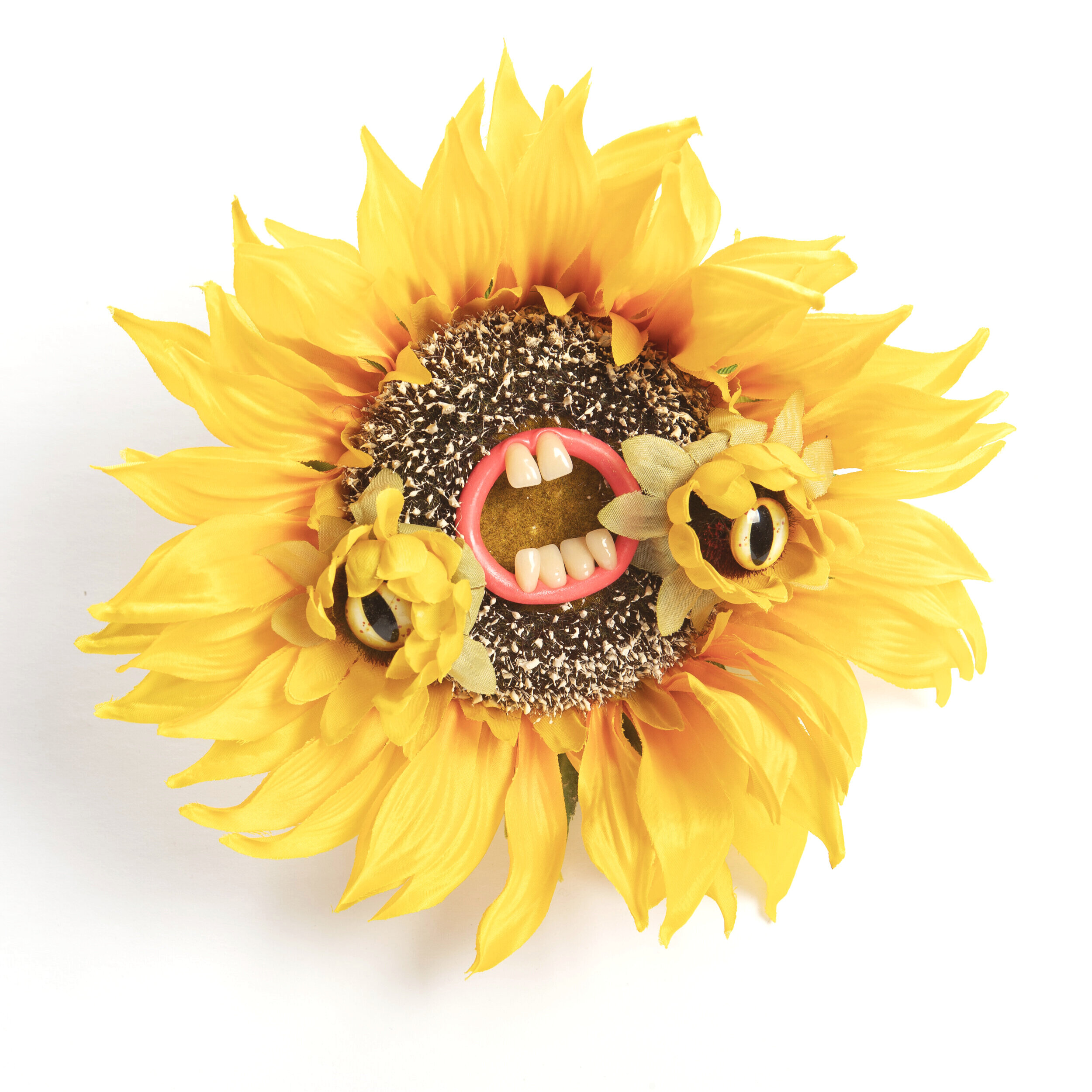 Mutated Sunflower V1