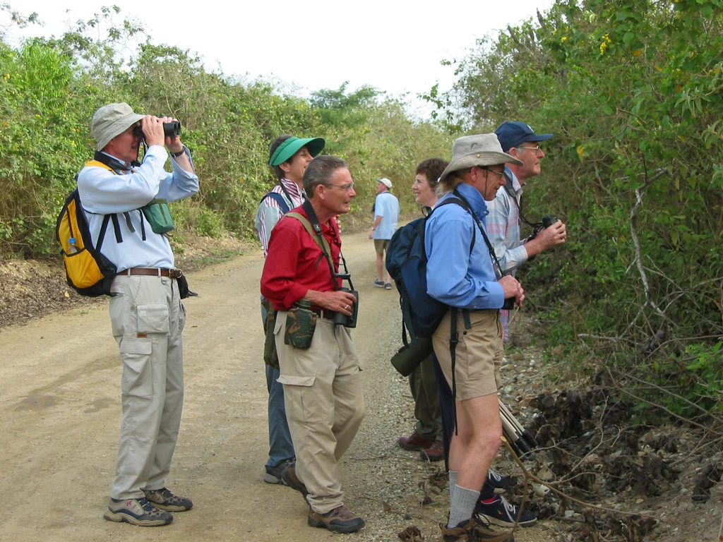 Ecuador Birding & Photography, "Birders"