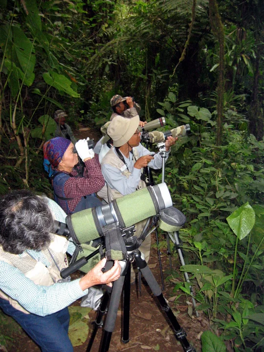 Ecuador Birding & Photography, "Asian Birders"