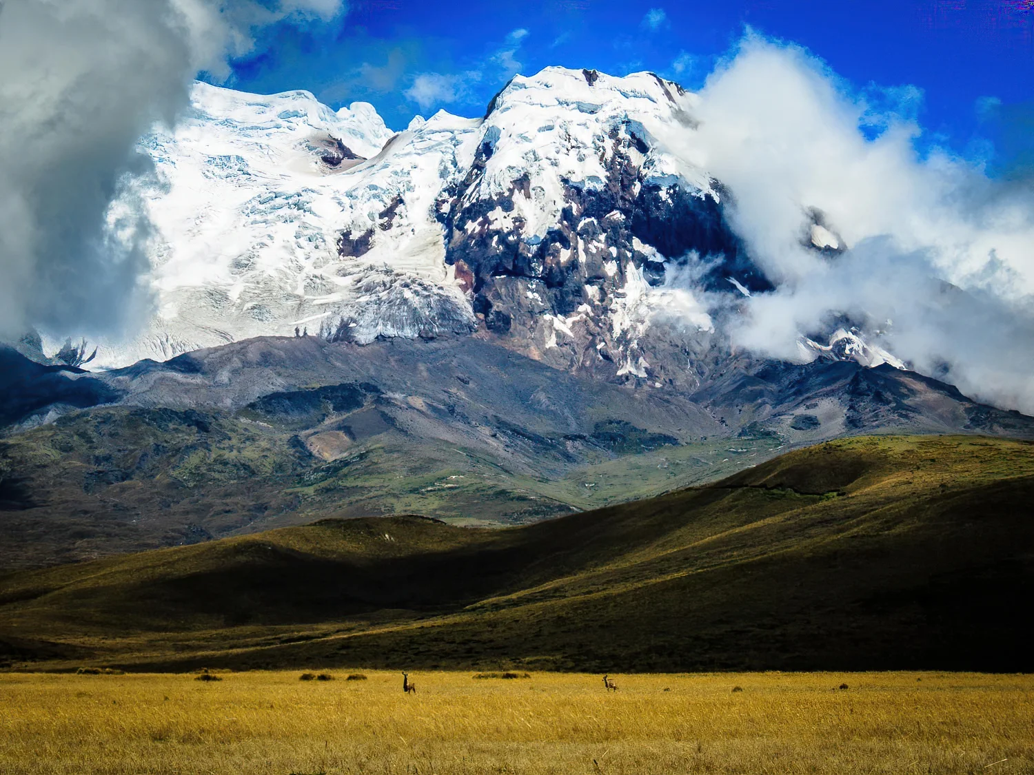 Ecuador Birding & Photography, "Antisana National Park"