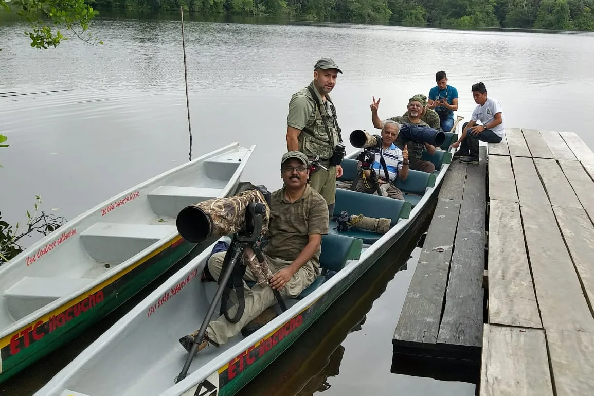 Ecuador Birding &amp; Photography, "Amazonia bird photography"