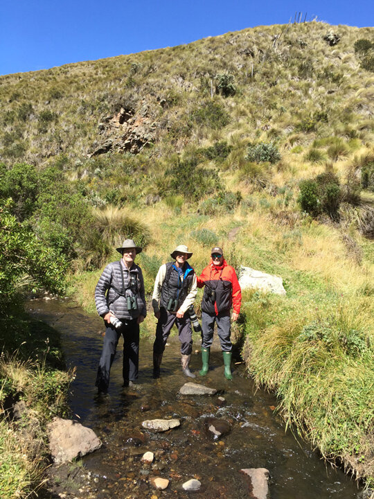 Ecuador Birding & Photography, "Keen Birders & Photographers"
