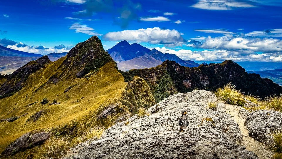 Ecuador Climbing & Hiking, "On top of the pre summit"