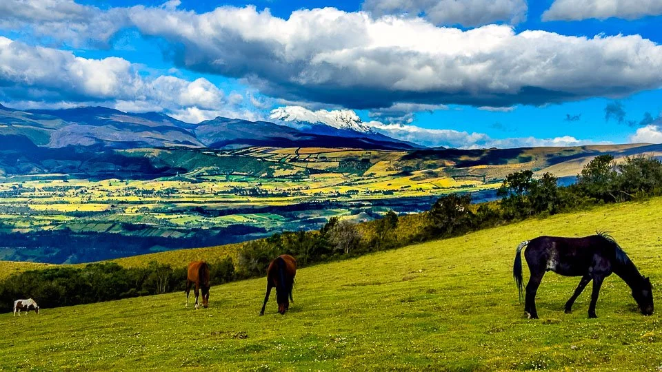 Ecuador Climbing & Hiking, "Horses"