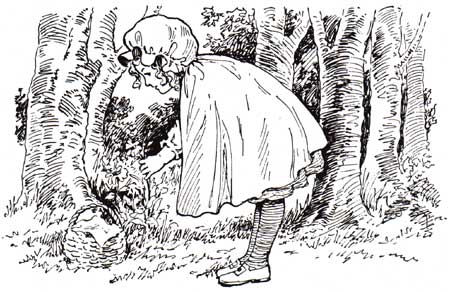 Illustration by Ella Dolbar Lee