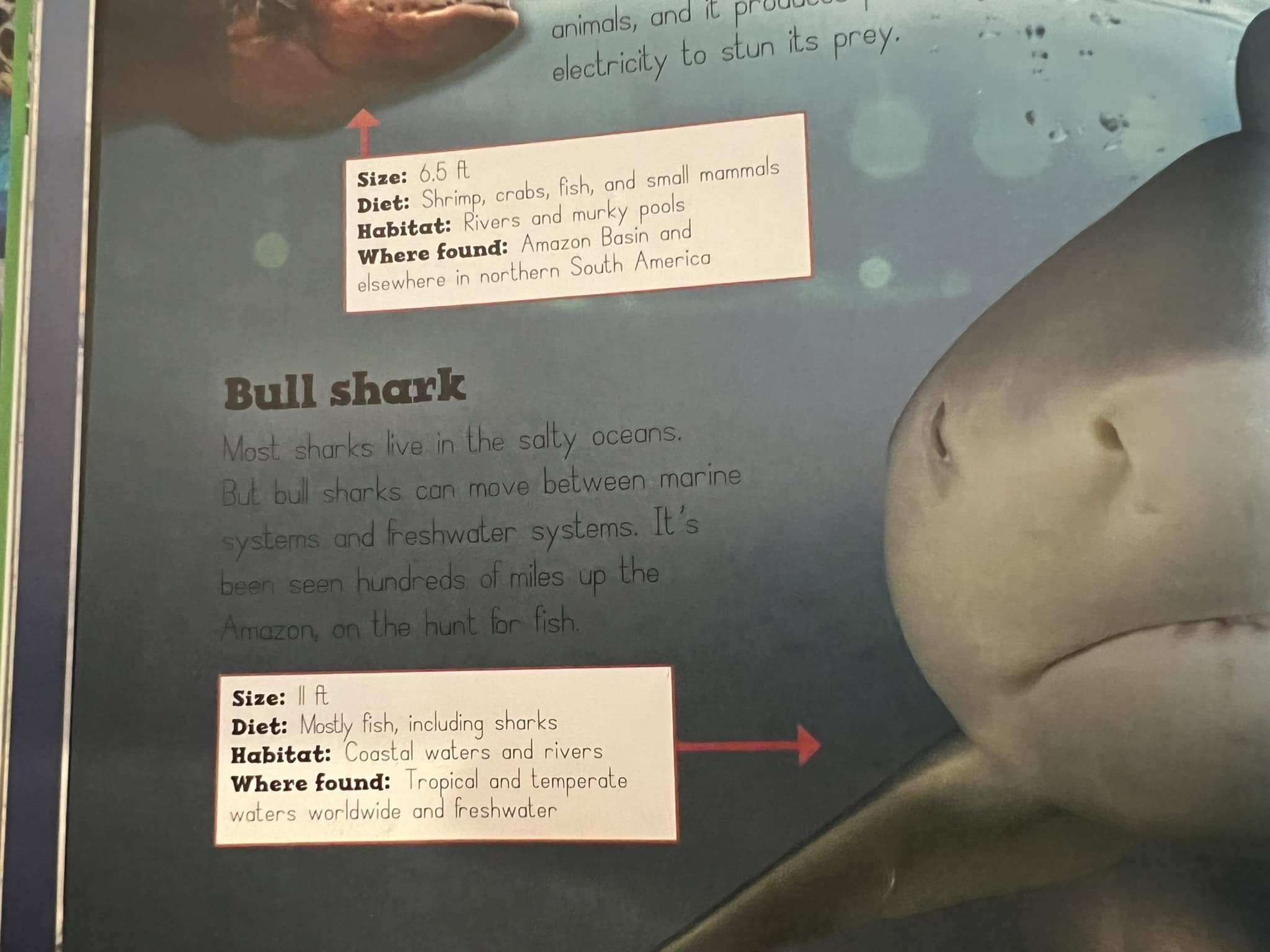 Can children&rsquo;s book publishers STOP doing this?? Small black text agianst a dark background?? What are you thinking? Several of Colin&rsquo;s books have this and it&rsquo;s really annoying. Do these people HAVE kids? Have they ever tried readin